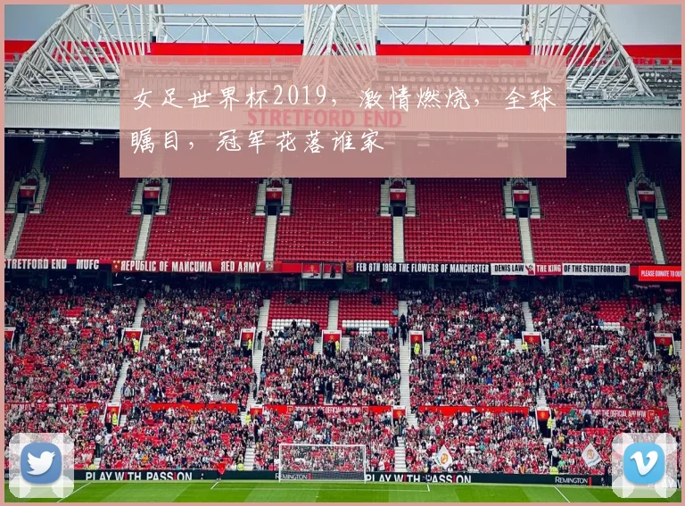 女足世界杯2019，激情燃烧，全球瞩目，冠军花落谁家
