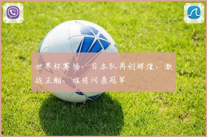 世界杯赛场，日本队再创辉煌，激战正酣，谁将问鼎冠军