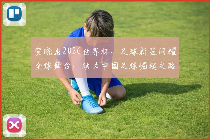 贺晓龙2026世界杯，足球新星闪耀全球舞台，助力中国足球崛起之路