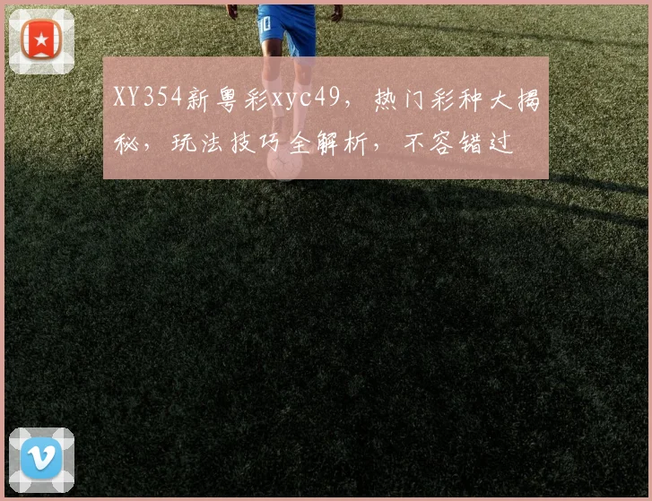 XY354新粤彩xyc49，热门彩种大揭秘，玩法技巧全解析，不容错过