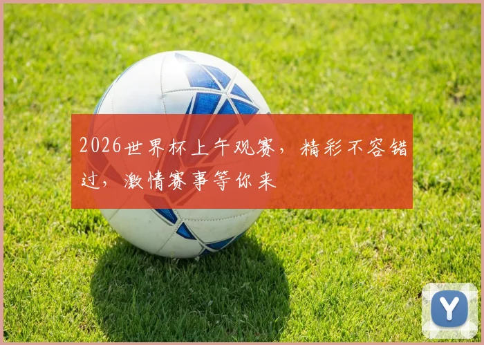 2026世界杯上午观赛，精彩不容错过，激情赛事等你来